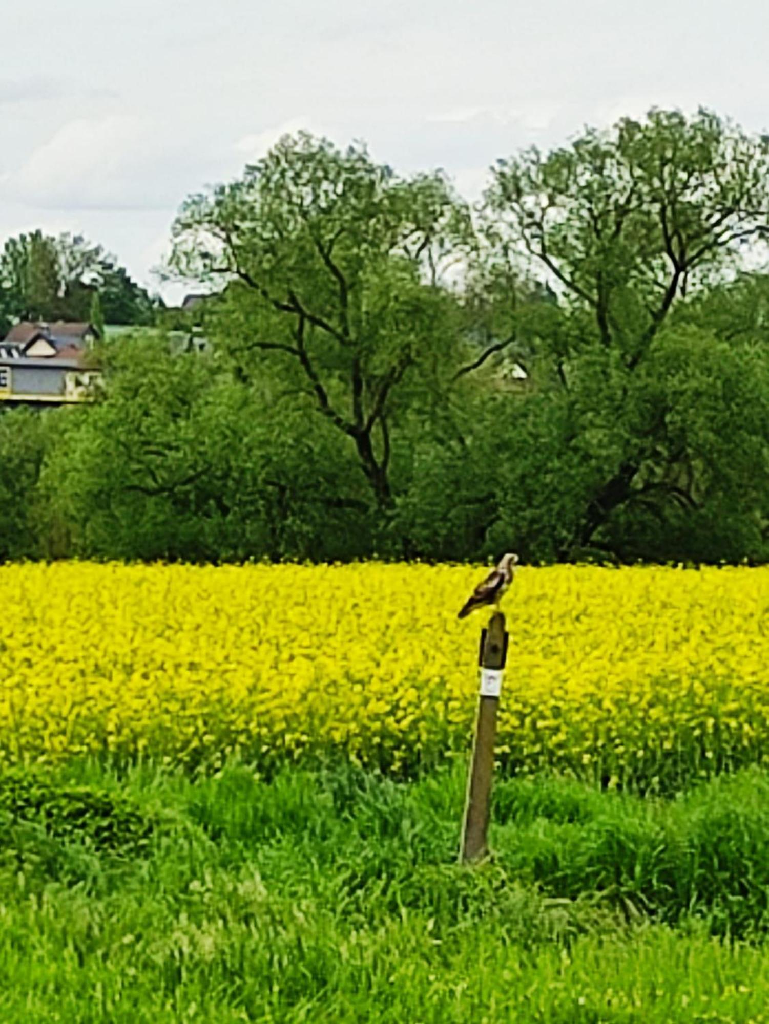 Ferienwohnung An Der Lahn Limburg an der Lahn Esterno foto